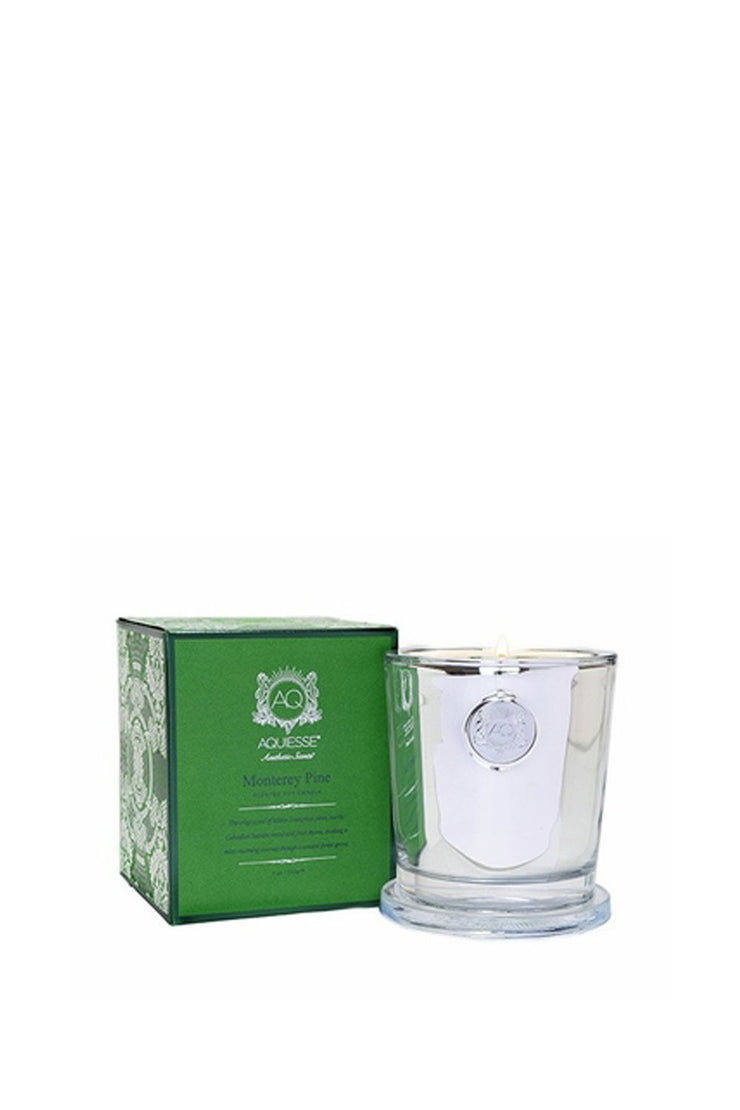 MONTEREY PINE HOLIDAY CANDLE